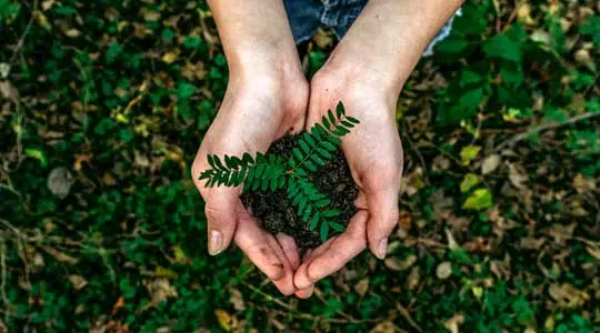 Environment Committee